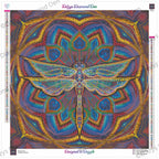 Mantra Fly by © Simon Haiduk