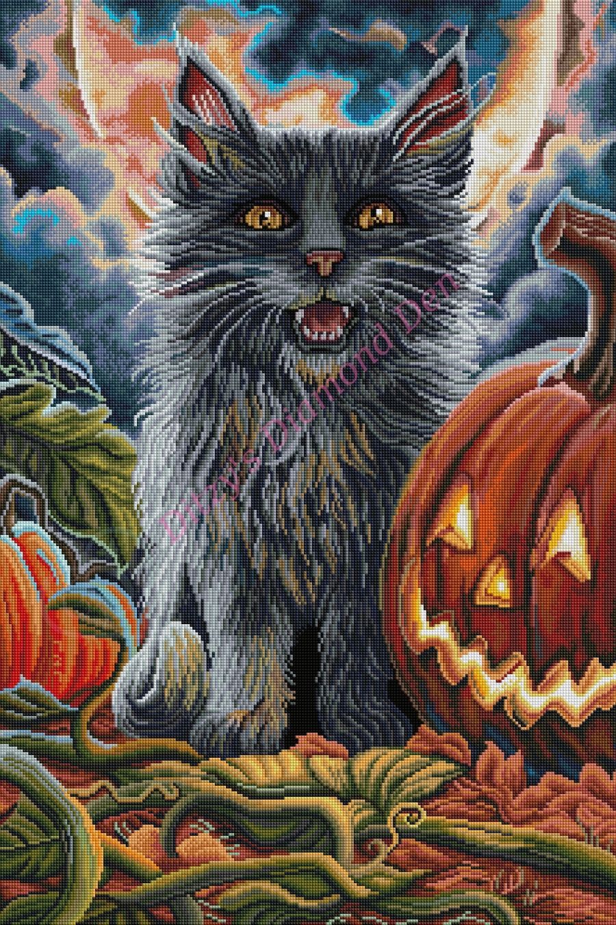 🐈‍⬛🧡Spooky Kitten by © Dakota Daetwiler 🧡🐈‍⬛